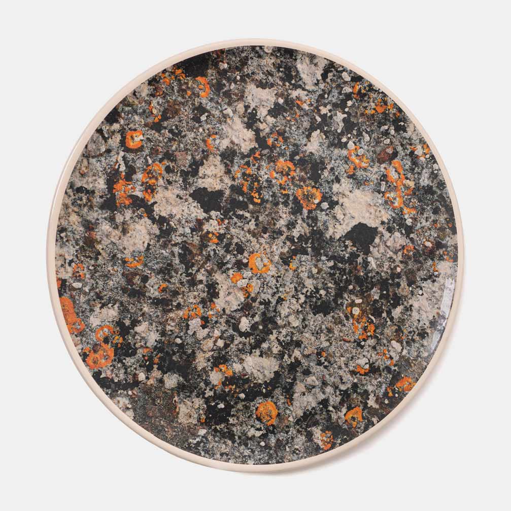 LICHENI plate 32 LS02 grey