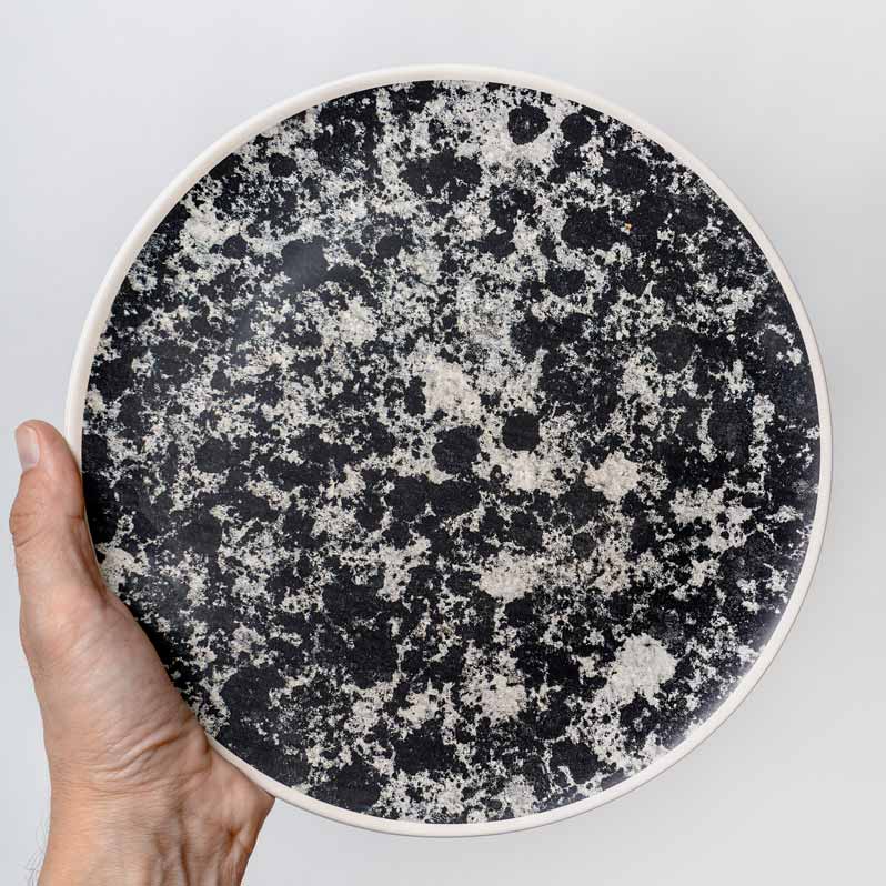 LICHENI Plate 26 LS03 Black - immagine 2